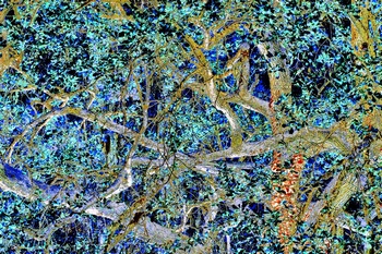 T 075E